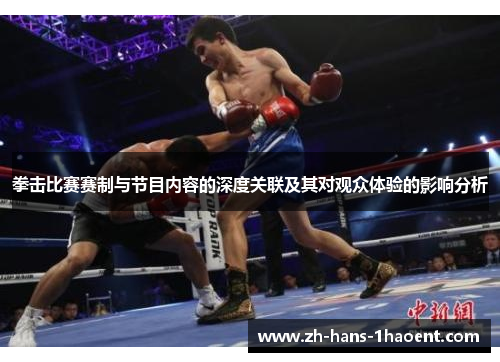 拳击比赛赛制与节目内容的深度关联及其对观众体验的影响分析