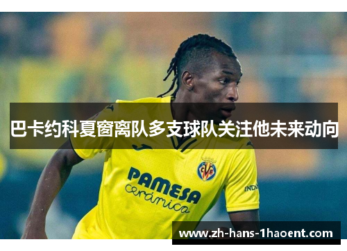 巴卡约科夏窗离队多支球队关注他未来动向