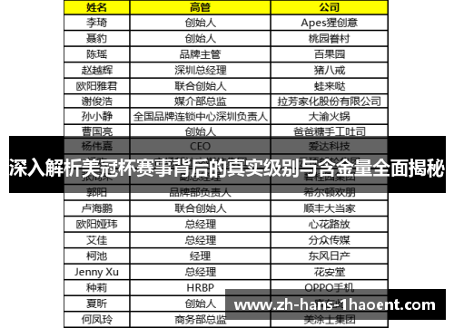 深入解析美冠杯赛事背后的真实级别与含金量全面揭秘