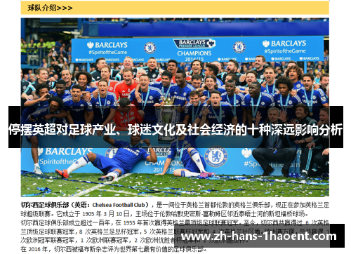 停摆英超对足球产业、球迷文化及社会经济的十种深远影响分析 停摆英超对足球产业、球迷文化及社会经济的十种深远影响分析